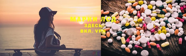 сатива Алзамай