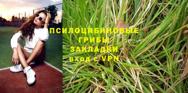 spice Алексин