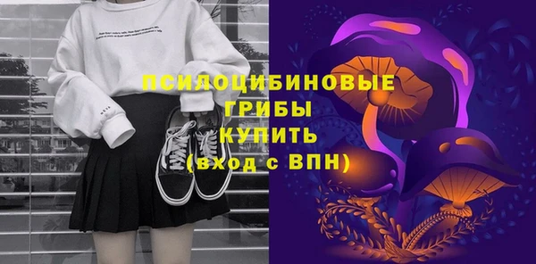 сатива Алзамай
