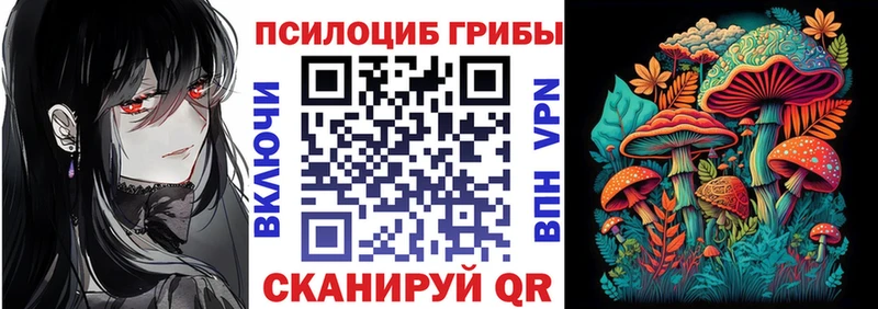 где купить   Карасук  OMG рабочий сайт  Галлюциногенные грибы Magic Shrooms 