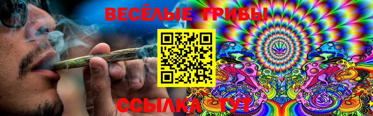 Псилоцибиновые грибы мухоморы Карасук