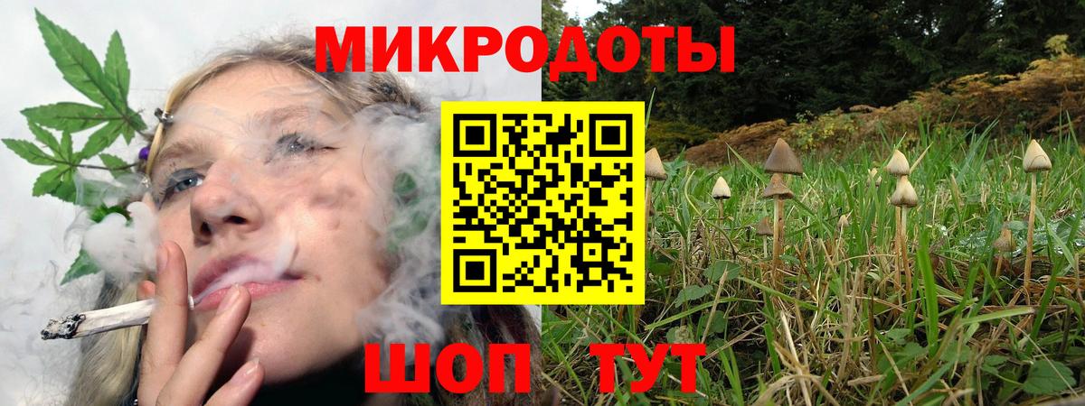 продажа наркотиков  Вход с VPN  Карасук  Галлюциногенные грибы мухоморы 