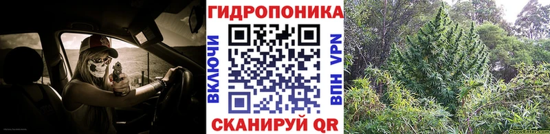 OMG ССЫЛКА Карасук Шишки марихуана Amnesia